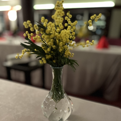 kullanıcı fotoğrafı