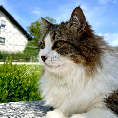 Nutzerfoto