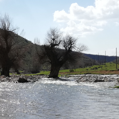 kullanıcı fotoğrafı