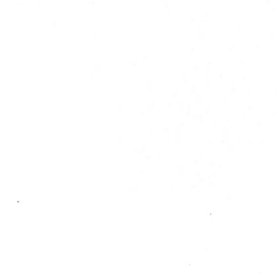 photo de l'utilisateur