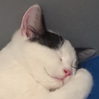 Nutzerfoto